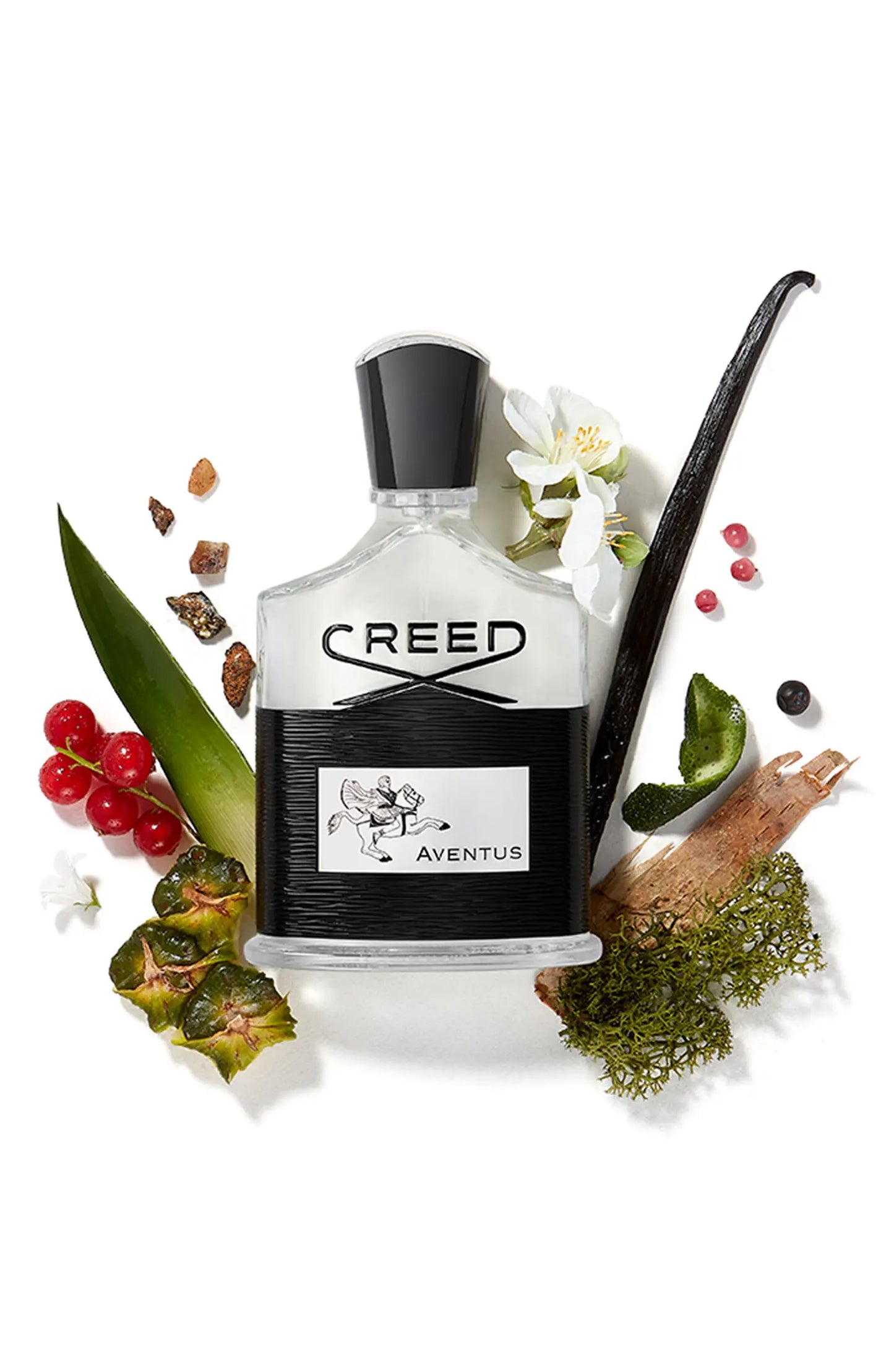 Creed Aventus - Modalatinaexpress